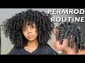 1 Product Permrod Set On Natural Hair | CoolCalmCurly