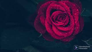 Relaxing Rain Sounds with 17 minutes timer.