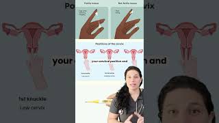 Tracking Ovulation Wrong Try These Fertility Tips #ttccommunity