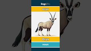 🇬🇧🇩🇪 oryx - Oryx : learn English : Lernen wir Englisch : vocabulary builder