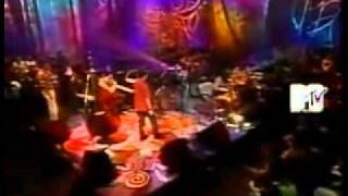 Cafe tacuba   Las Flores Unplugged