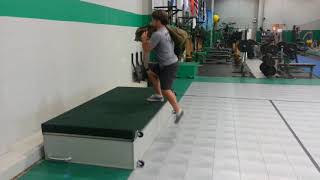 Sandbag Primal Complex 1