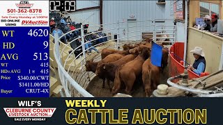 Heber Springs Cattle Auction LIVE | Wilf’s Cleburne County Market Updates – Nov 24, 2025