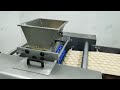 Skywin Mini Soft Biscuit Production Line