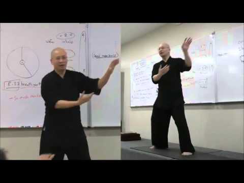 Video Exercise on Harmony and Gentleness - youtube