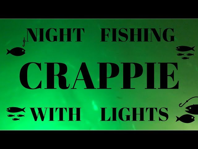 How to Use LIghts to Attract and Catch Fish at Night 