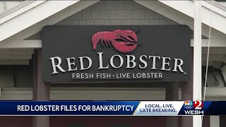 Red Lobster seeks bankruptcy protection days after closing dozens of restaurants