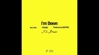 파사딕 (Posadic) - I'm Down (feat. bren) (prod. BADTREE) [Official Audio]