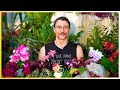 Подробно о растениях из нашего видео