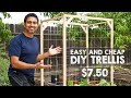 How to Make Easy and Cheap Trellis