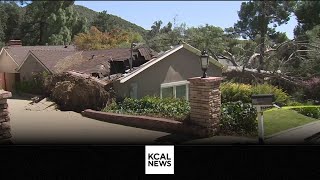 Cleanup underway after powerful winds whip through Southern California