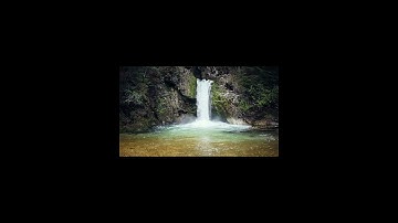 ارح قلبك دقيقه من القرآن الكريم 😌❤️