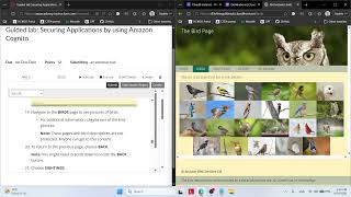 Celebrity Guided lab: Securing Applications by using Amazon Cognito Profile