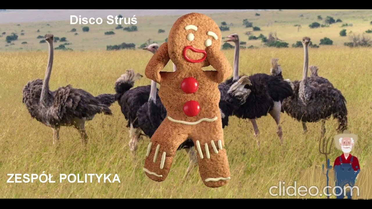 Disco Struś.