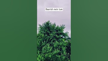 Baarish Mein Tum 🌧❤️ | Neha Kakkar x Rohanpreet Singh | Romantic Love Status | #shorts #ytshorts