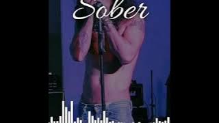 Slank sober