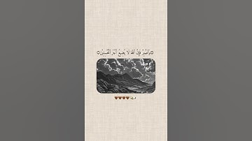 اكتب شيئ تؤجر عليه 🤎😊 #قرآن #القارئ #اسلام_صبحي #قران_كريم #قرآن_كريم ##quran