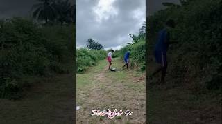 Download Lagu #nostalgia #reggae #dance #80sreggae #dancestyle #funny #music #musicgenre #comedy MP3 Download Lagu #nostalgia #reggae #dance #80sreggae #dancestyle #funny #music #musicgenre #comedy MP3