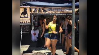 Staffbull Shop Staffordshire Bull Terrier Staffies Staffy Sbt Staff Stafford Cachorro Dogs