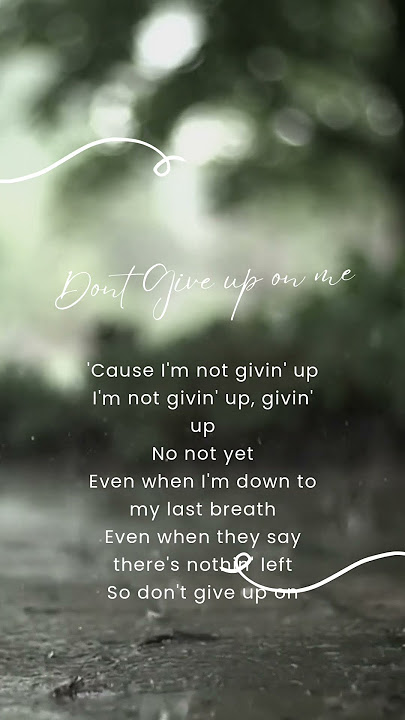 Don't give up on me - Andy Grammer #musikindonesia #musicworld #andygrammer #dontgiveuponme