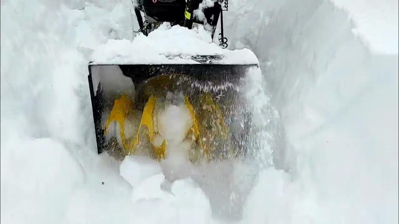  Крот в глубоком снегу - YouTube