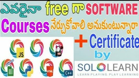 Learn Free Software Courses with Certificate // How to use SoloLearn // Telugu Art World