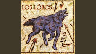 Video thumbnail of "Los Lobos - Evangeline"