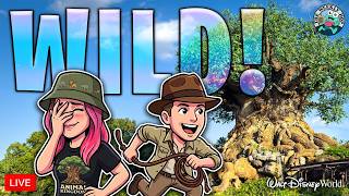 LIVE A WILD Afternoon at Animal Kingdom Kilimanjaro Safaris Avatar Flight of Passage More