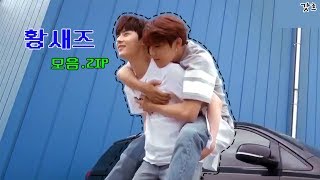 [황민현/박우진] 황새즈 케미 모음