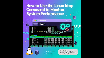 How to Use the Linux htop Command to Monitor System Performance