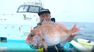 【いつでも釣り気分！】#291 冬のコマセマダイ 海中をイメージし、釣果をのばす！