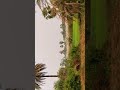 salute kisan salute Jaban