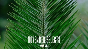 Thumbnail of Drum & Bass - November Mix 2025