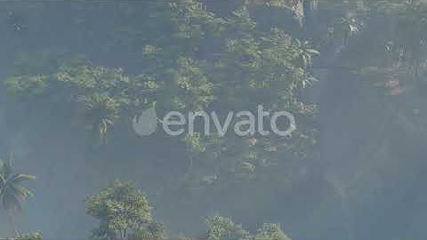 Fog Covered Jungle Rainforest Landscape | Motion Graphics - Envato elements
