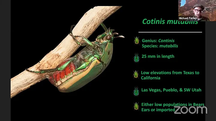 Iridescent Beetle Adornment Suggest Incipient Status Competition Among Earliest Horticulturalist...