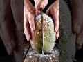 Frozen Mango Cutting ASMR 🥭❄️ | Satisfying Knife Sounds