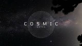 Catz N Dogz Feat. Zensofly - Cant Stand Robag Wruhmes Flodder Bukk Rehand