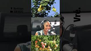 LA SOCIÉTÉ CAPITALISTE VS ANTAN LONTAN ?