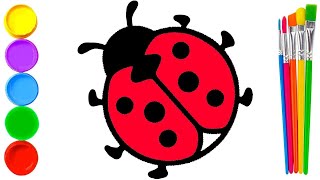 How To Draw A Coccinellidae Coccinellidae Drawing  Fun Kids