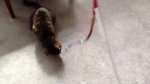 Module 11 Lesson 01: Intro to Standing Waves