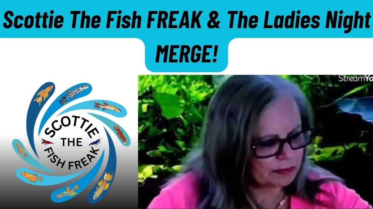 Scottie The Fish FREAK & Ladies Night - MERGED!!! #1 of ?