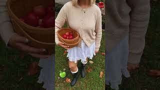 we have stars hollow at home 🍎🍏