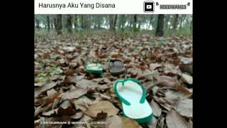 Status WA lucu yang Berjudul Harusnya Aku
