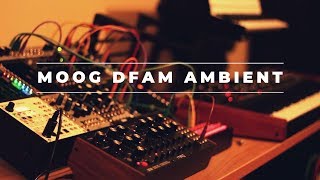 Impend - Moog DFAM Ambient