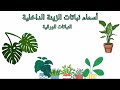 أسماء بعض أنواع النباتات الداخلية الورقية