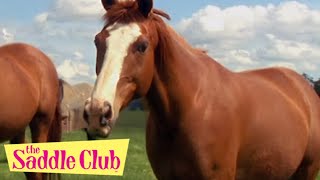 The Saddle Club Movie - Adventures at Pine Hollow | HD Full Movie