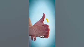 Thumbnail of What Does This Long Thumb Muscle Do? 🤔