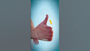What Does This Long Thumb Muscle Do 