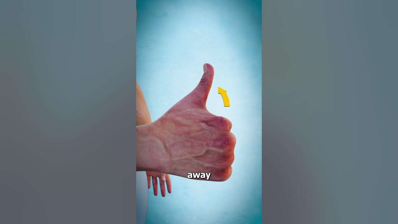 What Does This Long Thumb Muscle Do? 🤔