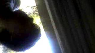 Deafioacordar Meu Gato De Um Jeito Carrinhoso E Olha Oq Deu???